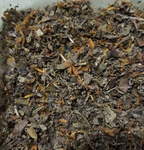 Buy Changa | Changa for sale | Buy Changa DMT